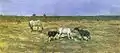 Steppe. Spring, 1911