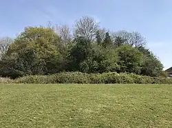 The overgrown Twmpath Castle or Motte(also known as Caer Cynwrig)