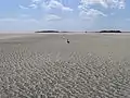 The south tip of Tybee Island at low tide