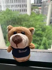 UC Berkeley Extension merchandise:  Miniature Oski bear.