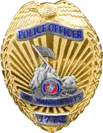 Military Police Badge