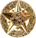 Surgeon General Badge