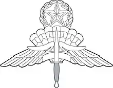 Master Military Freefall Parachutist Badge