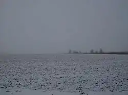 Snowy countryside in Warren Township