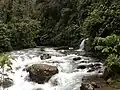 Waterfall in the Mindo-Nambillo