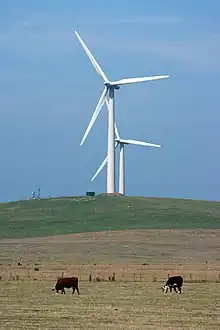 Wind farm outside of Port Fairy, Victoria