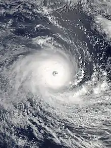 Image 15South Pacific cyclone (from Cyclone)