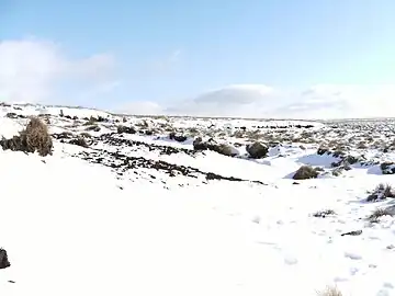 Snowdrift on Wet Moss at the end of the valley between Helmshore and Edgeworth, during February 2009.