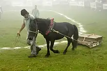 a small black horse dragging a loaded wooden sled on grass