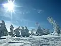 Summit of Yokote-yama - 2,305 m (7,562 ft) above sea level - Shiga-kōgen, 2009