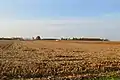 Fields on Zuber Road, south of Grove City